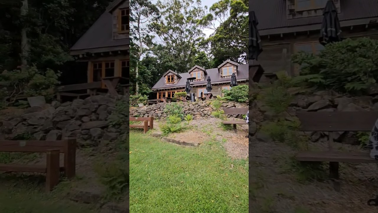 Binna Burra Lodge - a budget adventure! #goldcoastlife