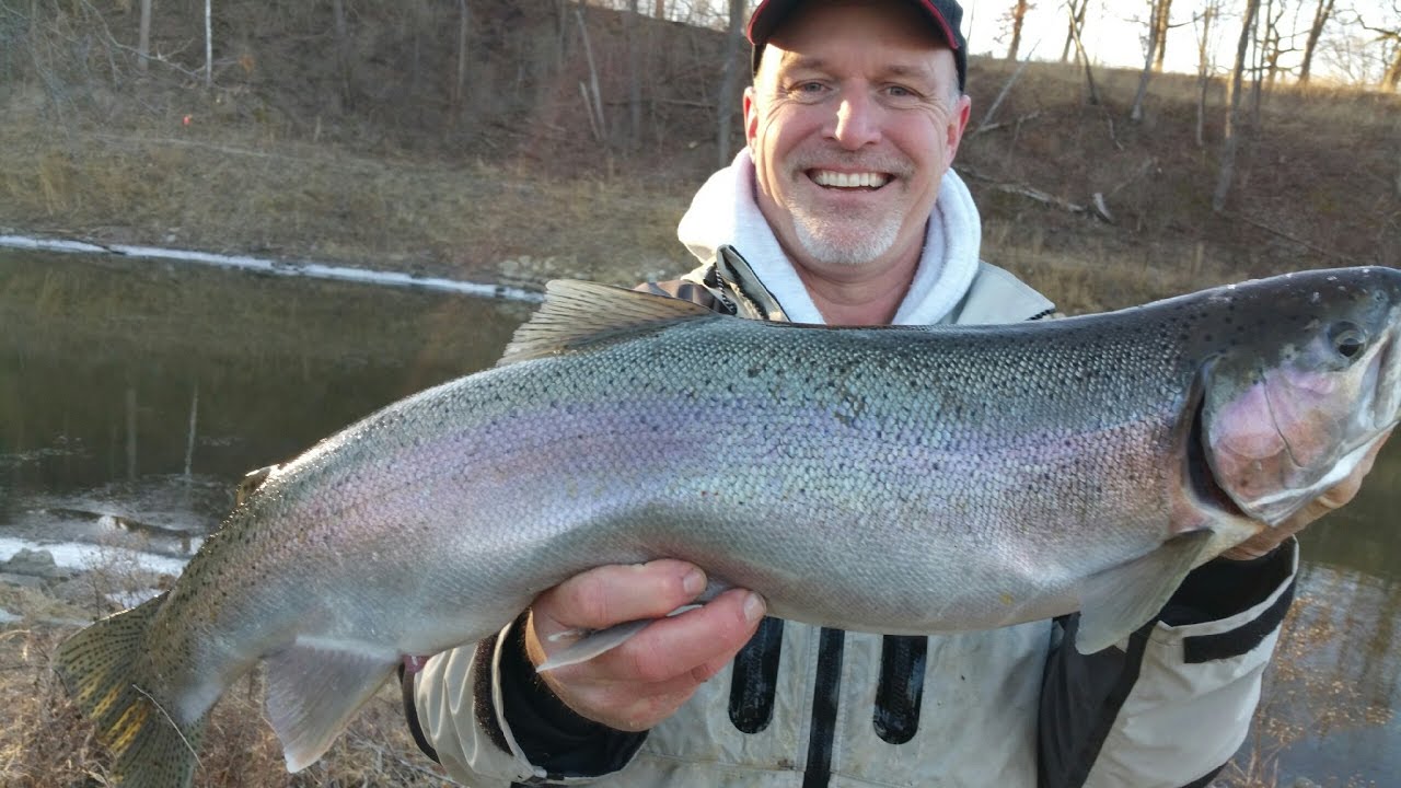 Trophy Fish Hunter and Eric Haataja catch some big steelhead on the Root River in Wisconsin