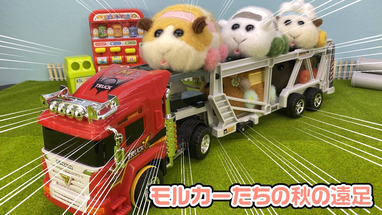 【PUIPUIモルカー】モルカーたちで秋の遠足に出かけよう！バスじゃなくてカーキャリアで移動するよ！｜天竺鼠車車、Molcar