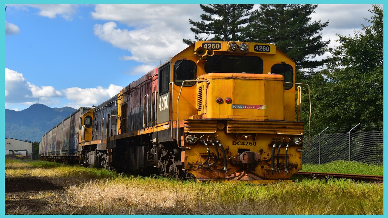 Chasing DCs 4260 and 4951 on the Waikato shunts ~ 03/03/2026 (HD)