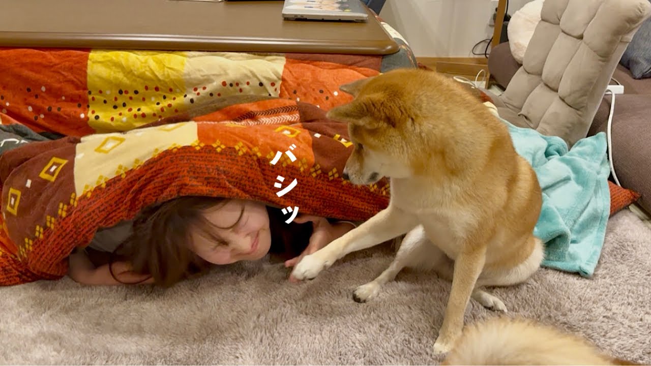 ご飯を食べてる間にいなくなってみた結果愛犬にビンタされました…