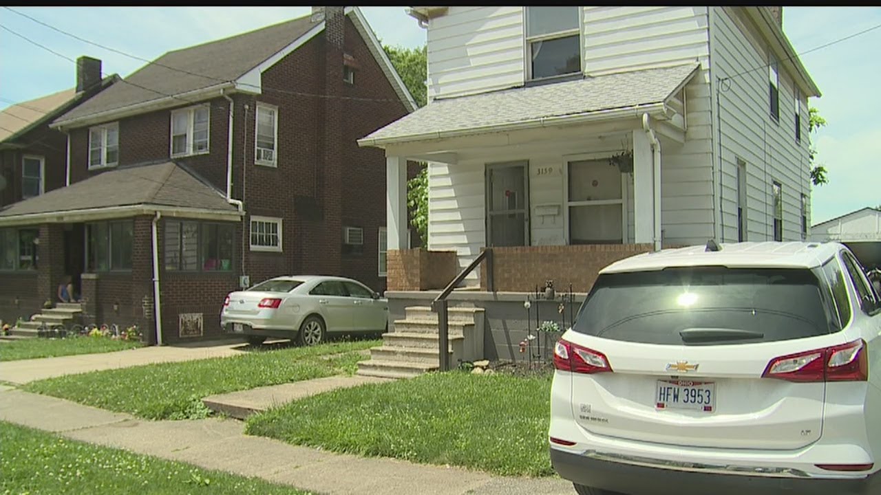 Youngstown neighbors say street is infested with rats