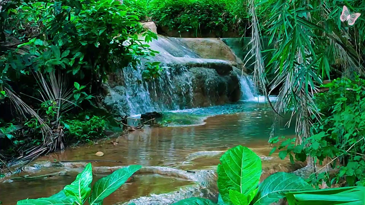 Relaxing Music For Stress Relief, Anxiety and Depressive States🌲 Heal Mind, Body and Soul Relax 28