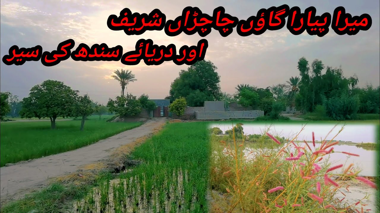 My Beautiful Village | Chachran Sharif | Dist: Rahim Yar Khan | 
