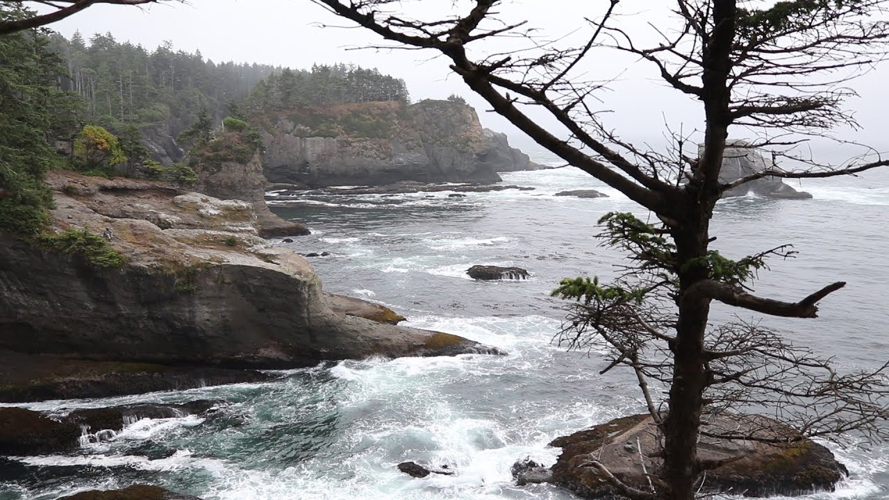 My Favorite Places - Neah Bay