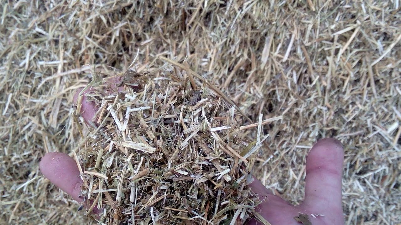 VID 20150206 153306