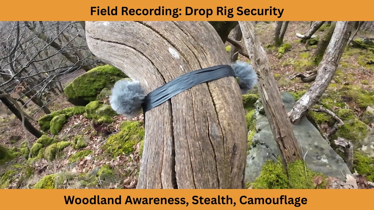 Drop Rig Security in Public Woodland