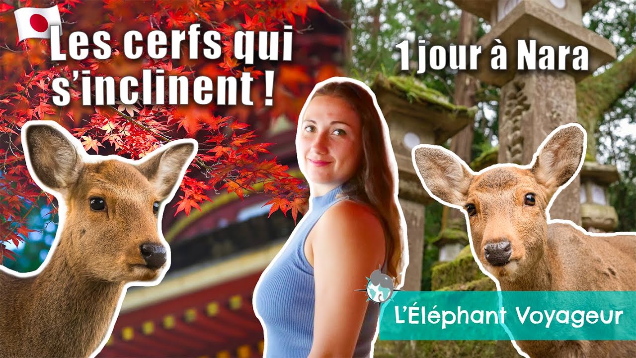 NARA EN 1 JOUR - La ville des Cerfs Sacrés du Japon (guide voyage)