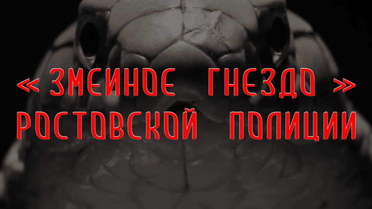 Змеиное гнездо ростовской полиции | Аналитика Юга России