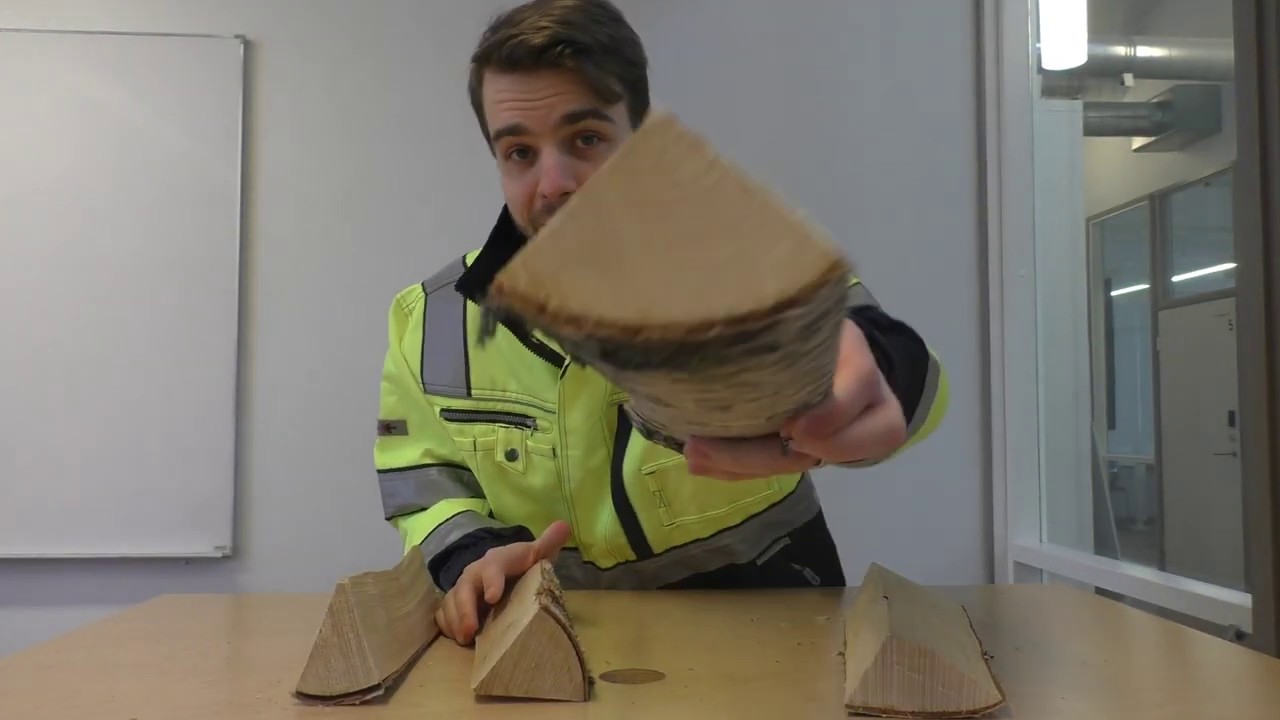 Kuivan polttopuun tunnistaminen (lyhyt)