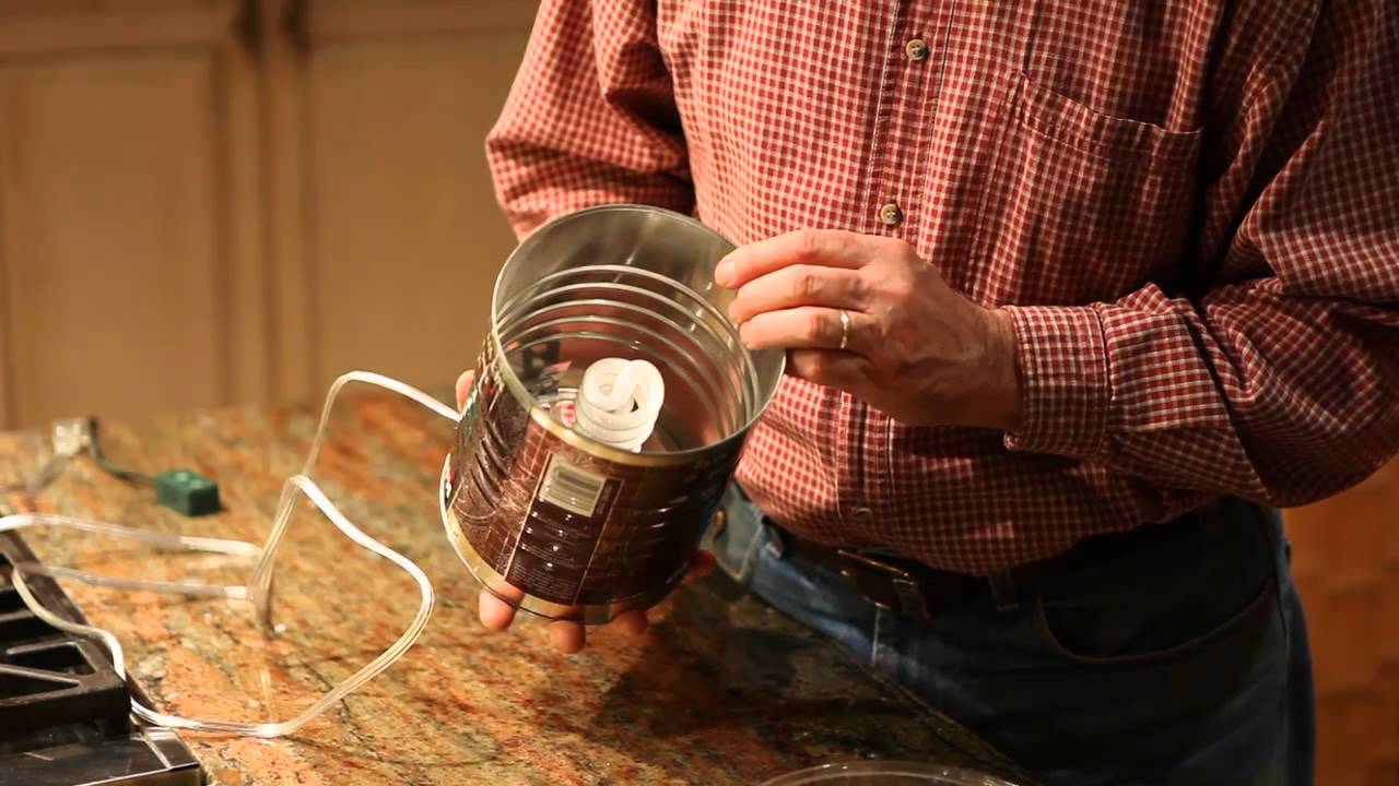 Stink Bug Trap
