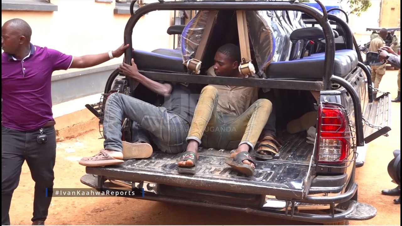 Police Arrest Over 300 in Kampala as Crackdown Targets Criminal Elements in KMP