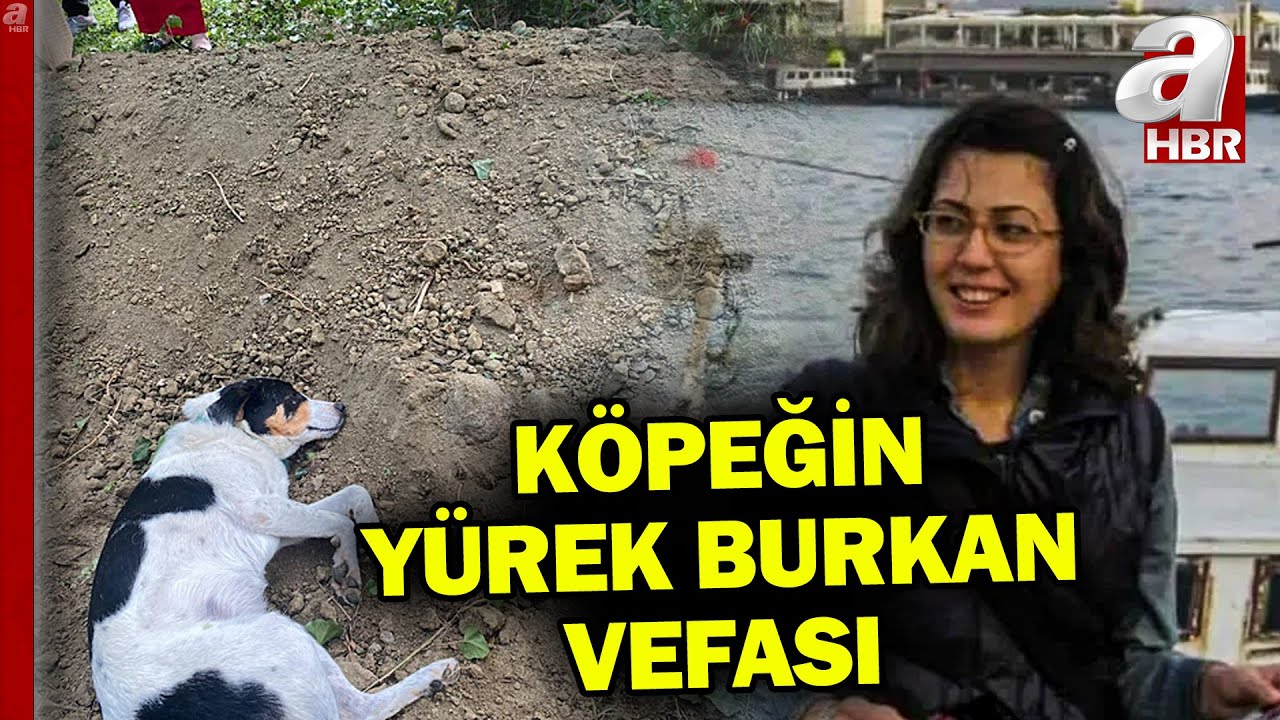 Köpeğin vefası yürekleri dağladı: Ölen sahibinin mezarı başından ayrılmadı | A Haber