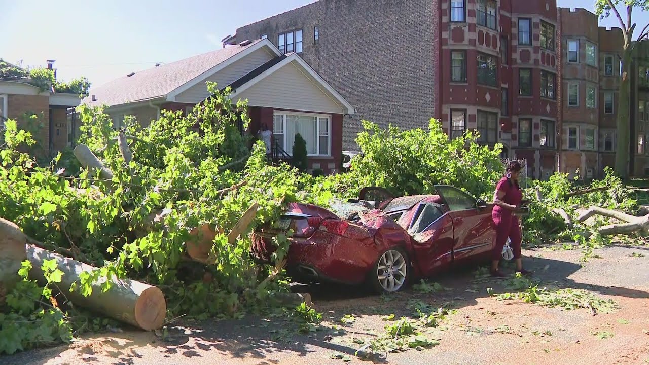 Сильный ветер повалил деревья в южной части города &mdash; WGN Midday News