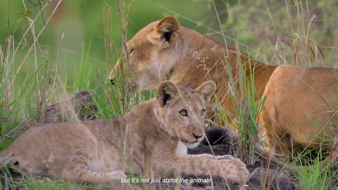 Kidepo Valley National Park, Uganda safari, Explore Uganda wildlife, African wilderness travel