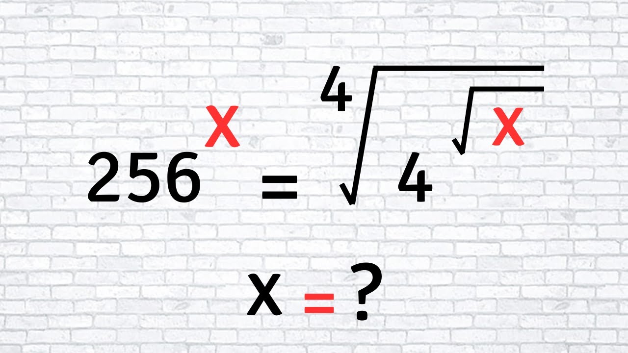 USA | Mathematics Olympiad Equation | Only for genius | Can you solve it? |
