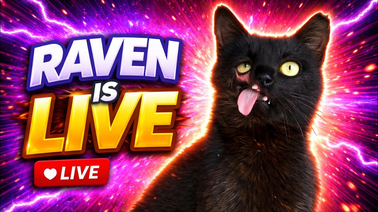 I Am Raven  is live farewell to eco and Betty ♥️♥️