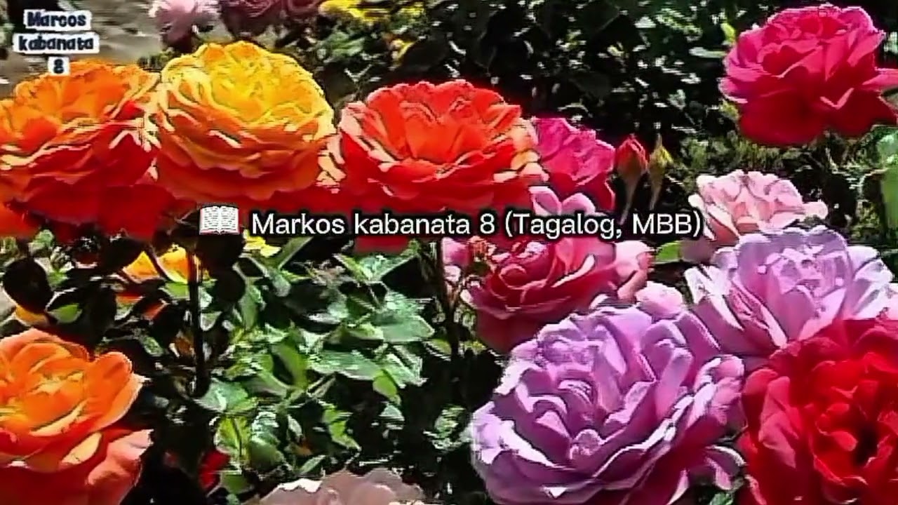 #Marcos 6 hangang 10- Tagalog bible reading with audio ❤️❤️❤️