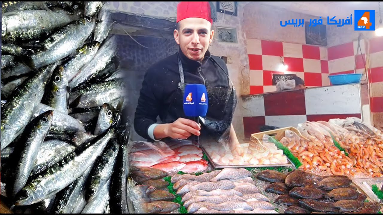 أسعار  السمك في الأسواق و غياب السردين