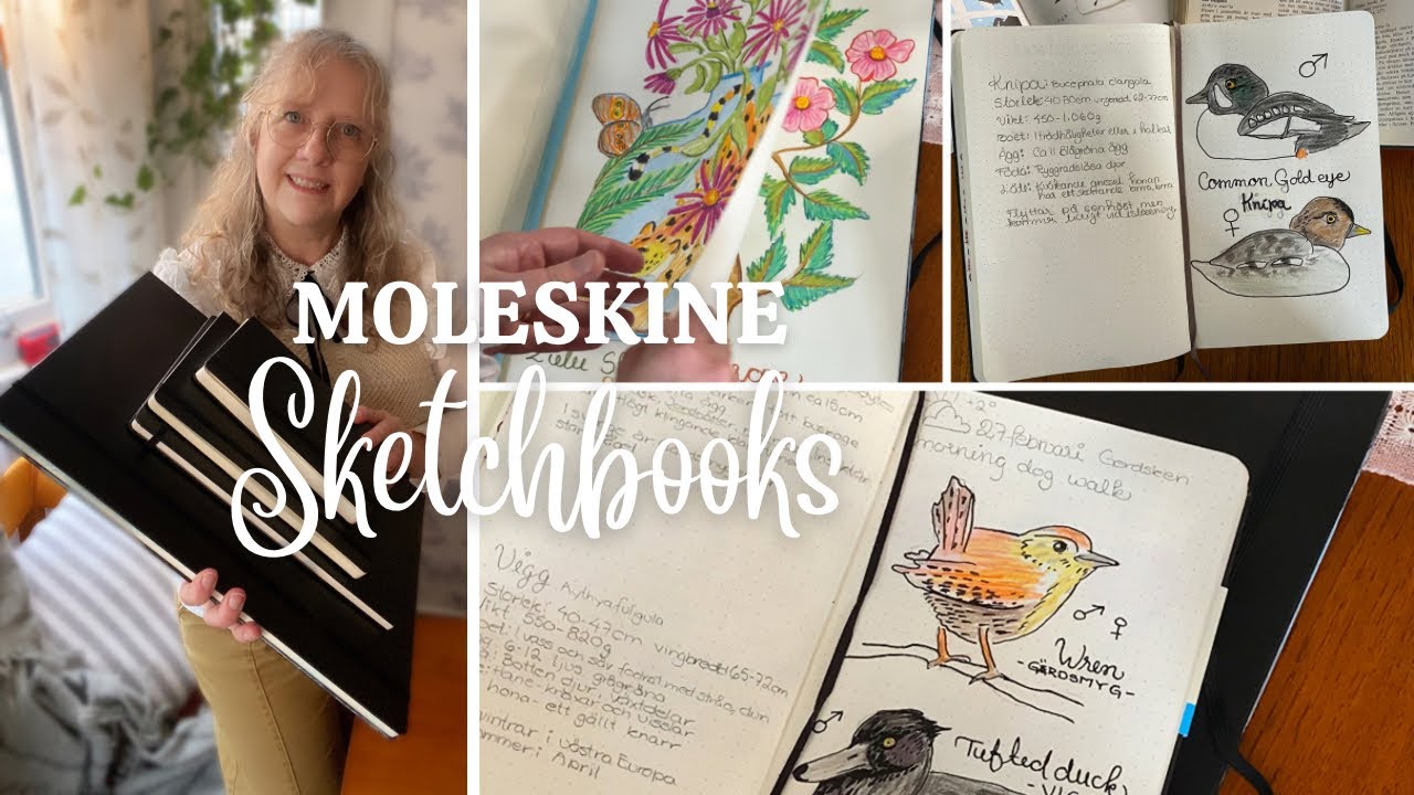 ALL MY MOLESKINE SKETCHBOOKS a quiet day