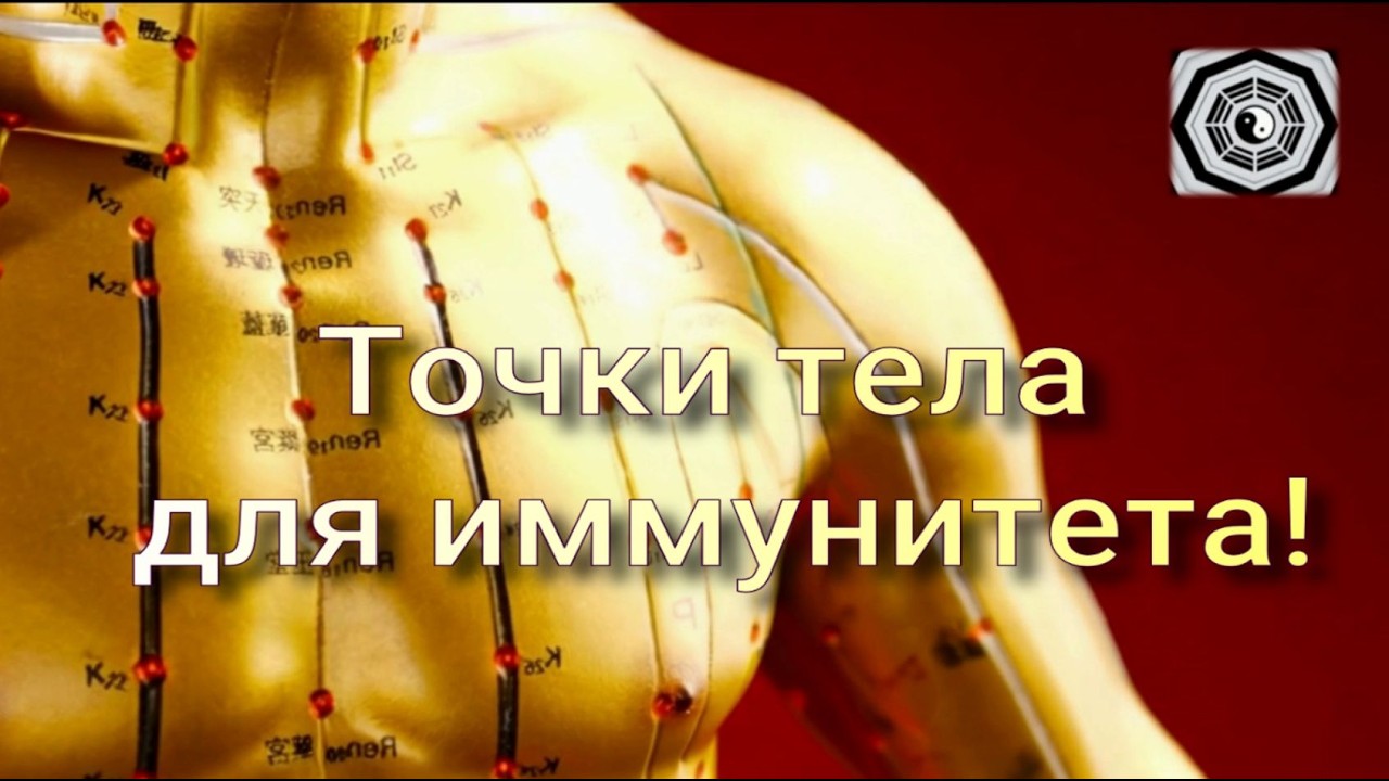 Как улучшить иммунитет  Одно из занятий курса