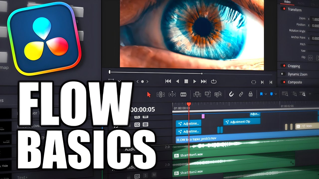 DaVinci Resolve | FLOW Beginner Walkthrough