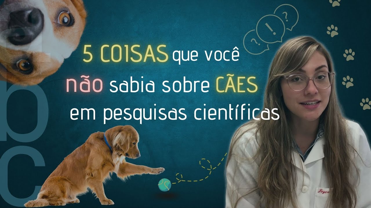 Curiosidades sobre CÃES na pesquisa científica