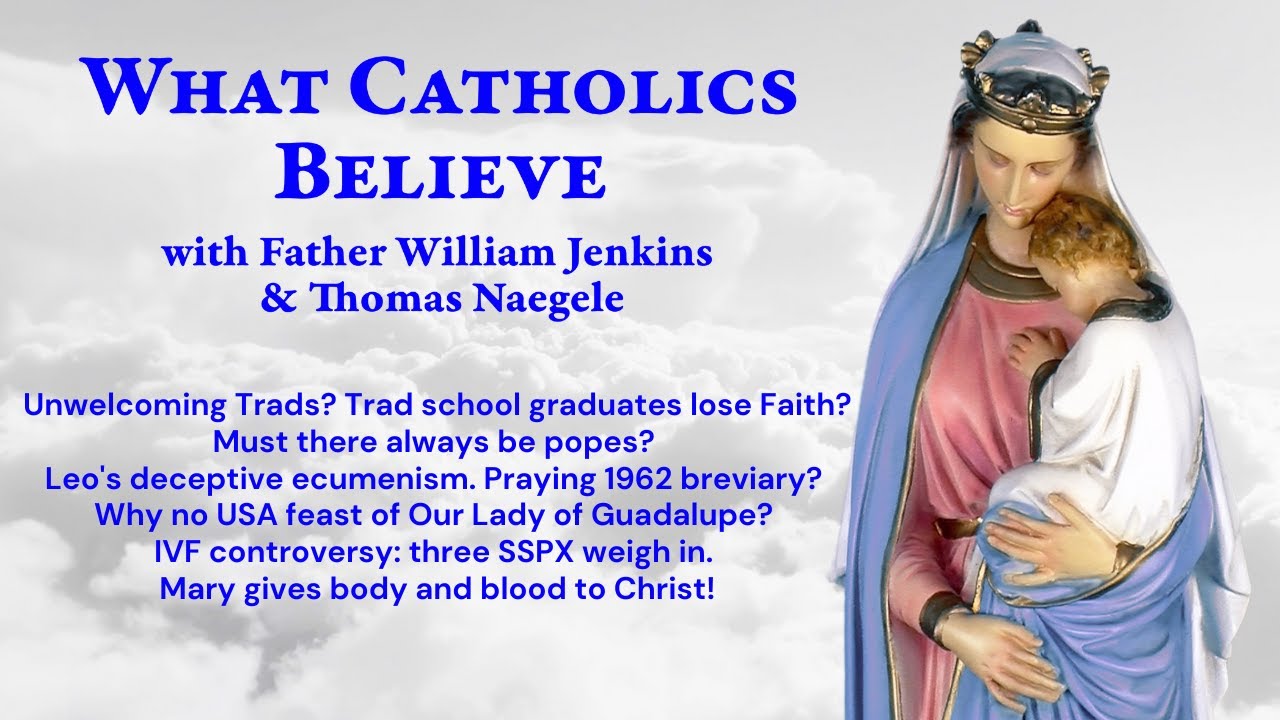 Mean Trads? Kids lose Faith? Perpetual papacy? Leo's unfaith. IVF: SSPX.