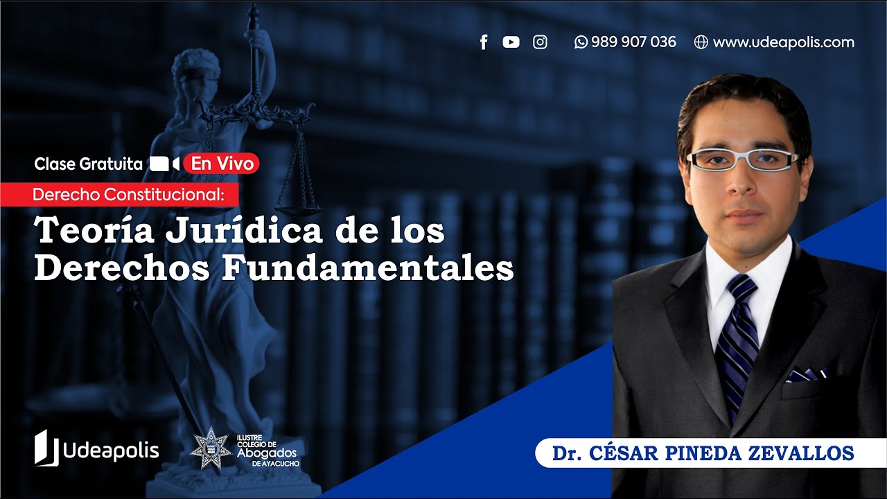 Teoría Jurídica de los Derechos Fundamentales | Dr. Cesar Pineda Zevallos