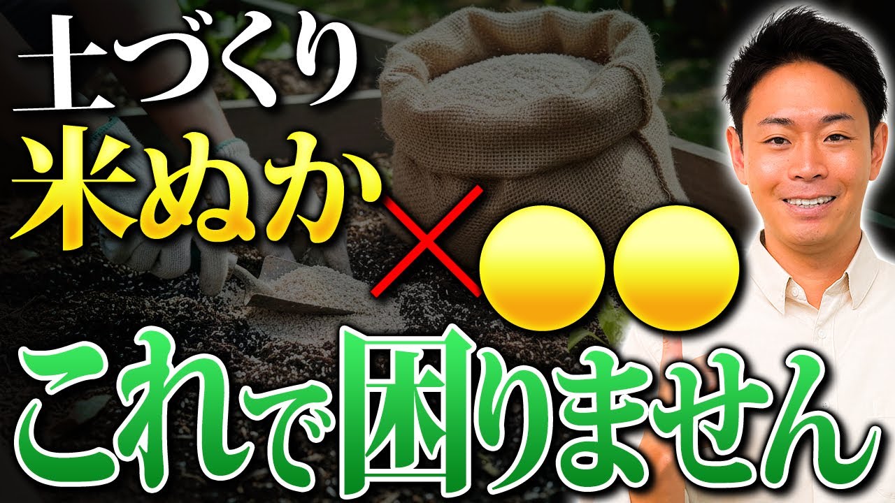 もう肥料いらず!?微生物が活きる理想の土に変わる秘密【家庭菜園 ガーデニング 土づくり 土壌 米ぬか】