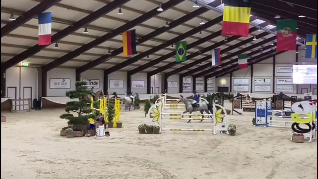 2014 Mare Warrant x Purioso