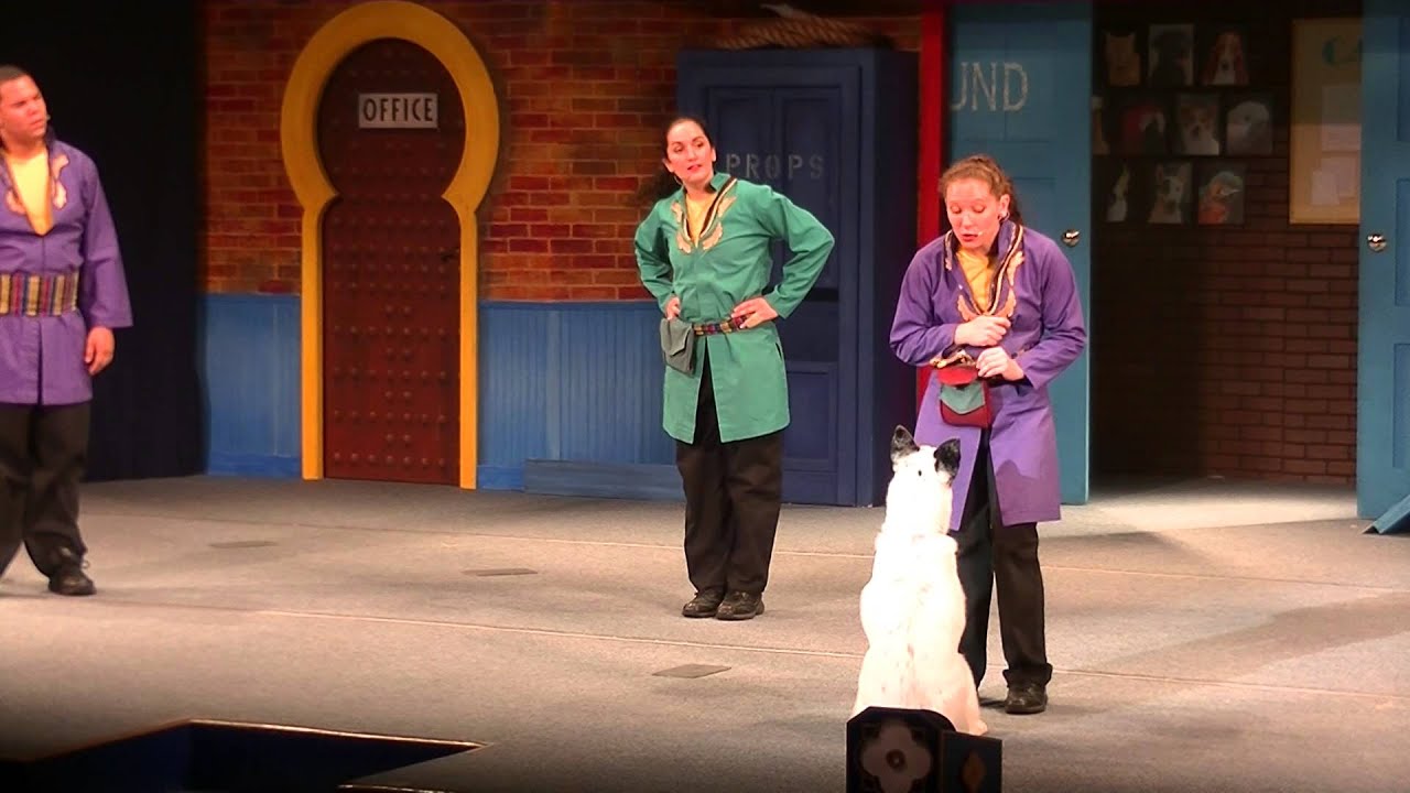 Opening Night Critters Full Show at Busch Gardens Tampa