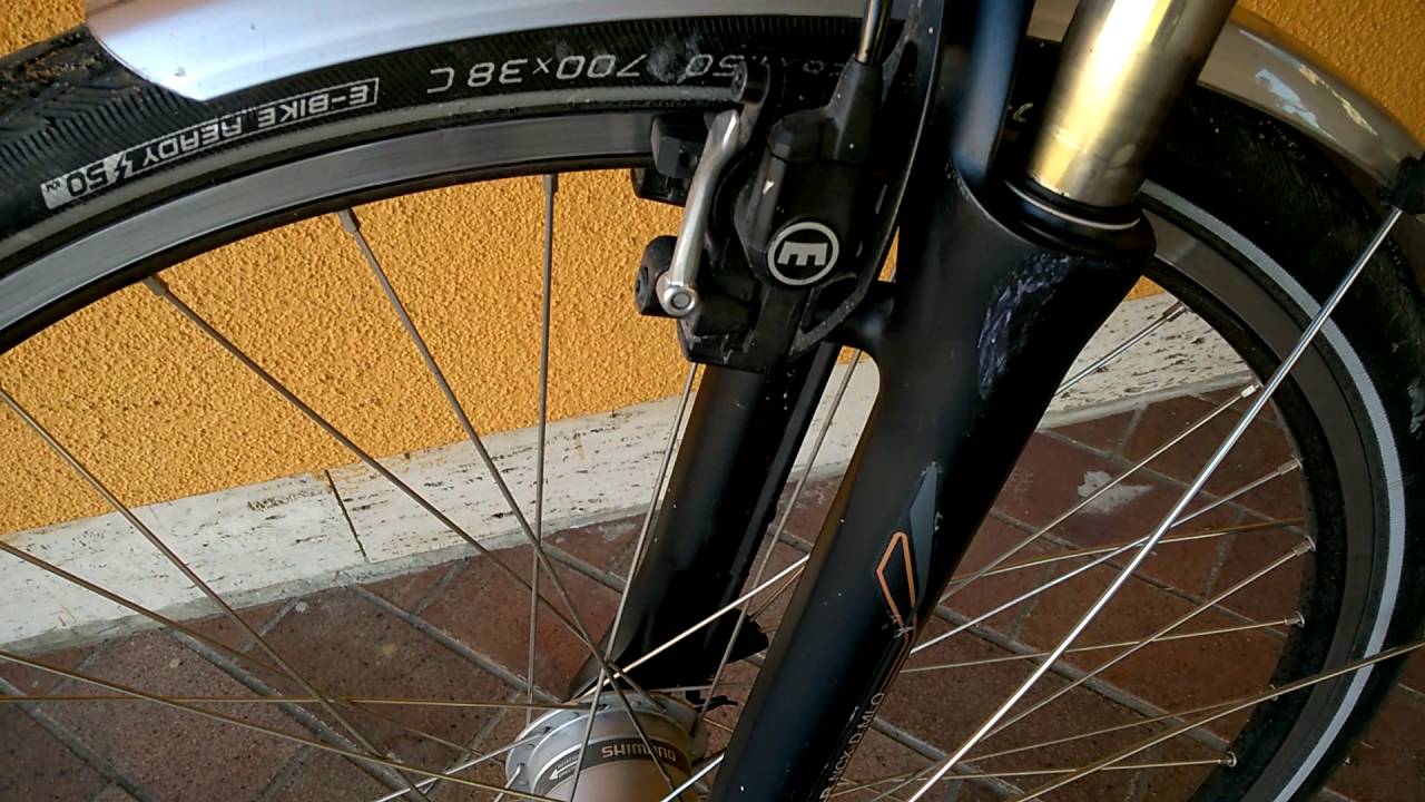 E-Bike Hercules Robert Vario Bosch Pedelec Gr. 52