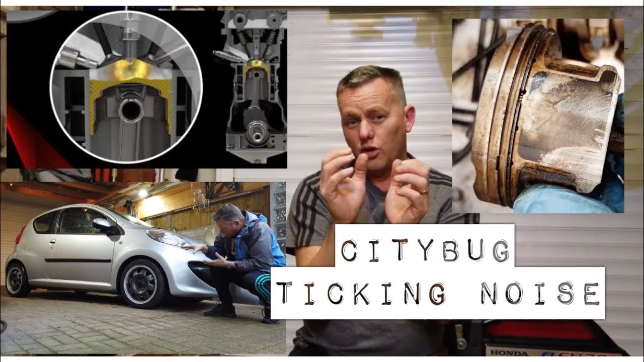 CityBug 