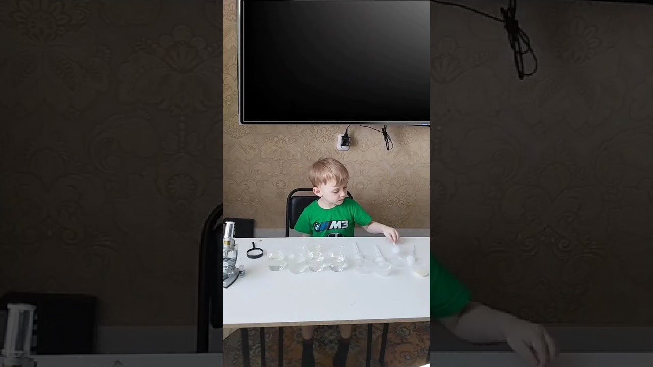 Маленький исследователь