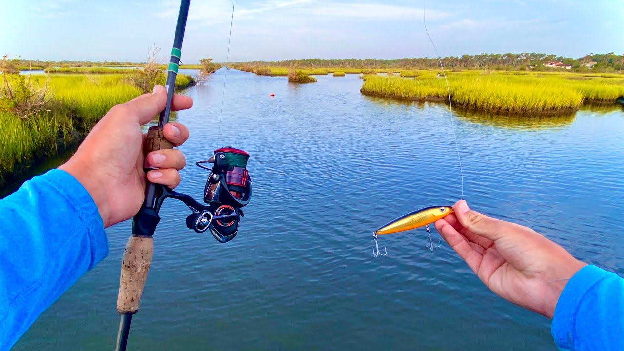 Inshore Fishing for Whatever Bites!