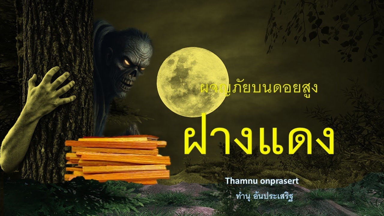 ๑๘๗.ฝางแดง ผจญภัยบนดอยสูง