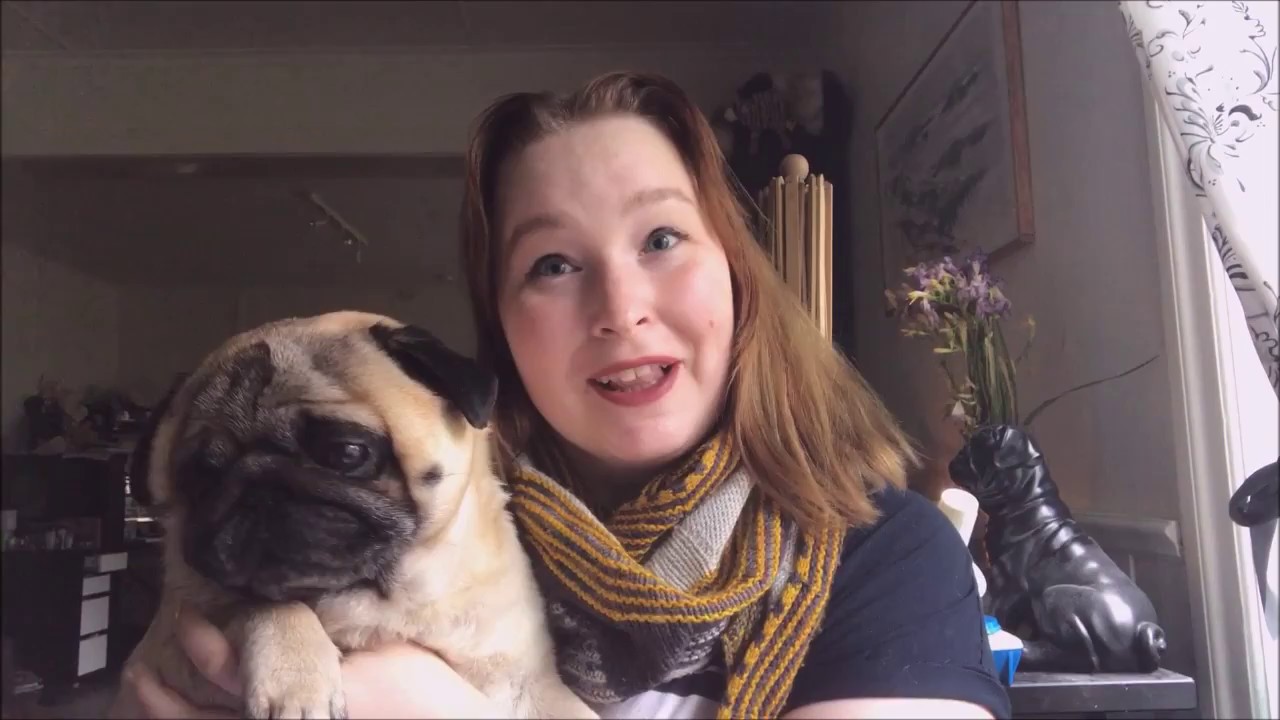 Chubby Pug Yarn Podcast Episode 44 – Biggest stash pile. EVER.