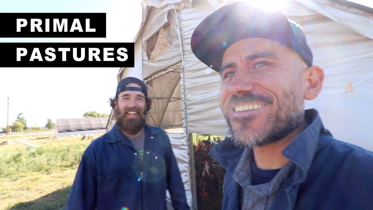 The FARM that INSPIRED US | PRIMAL PASTURES