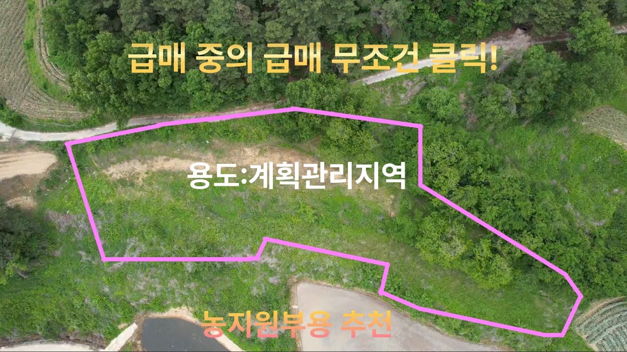 (매물번호 11호)예천군 지보면 급매 중의 급매 토지 #시골땅,#계획관리지역,#농지원부용,#예천군
