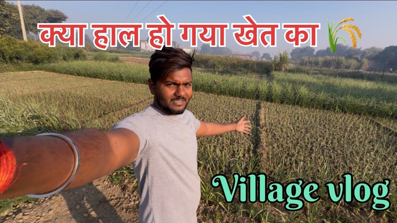 ये क्या लगा दिया खेत में।#villagevlog #farmerlife 