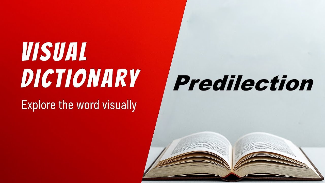 Predilection Meaning | Predilection Definition | Predilection Pronunciation | Visual Dictionary