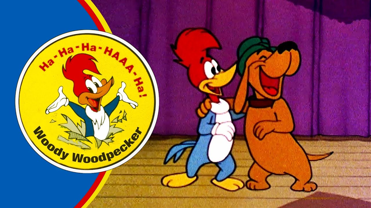 Gadający pies Woody'ego wkracza na scenę | Woody Woodpecker