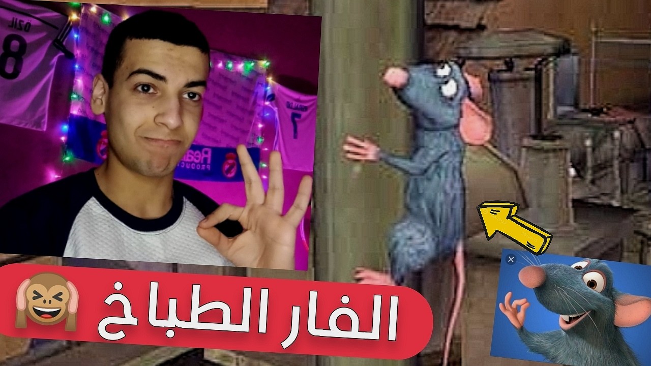 قصة كفاح افضل شيف في باريس !! Ratatouille - الفار الطباخ