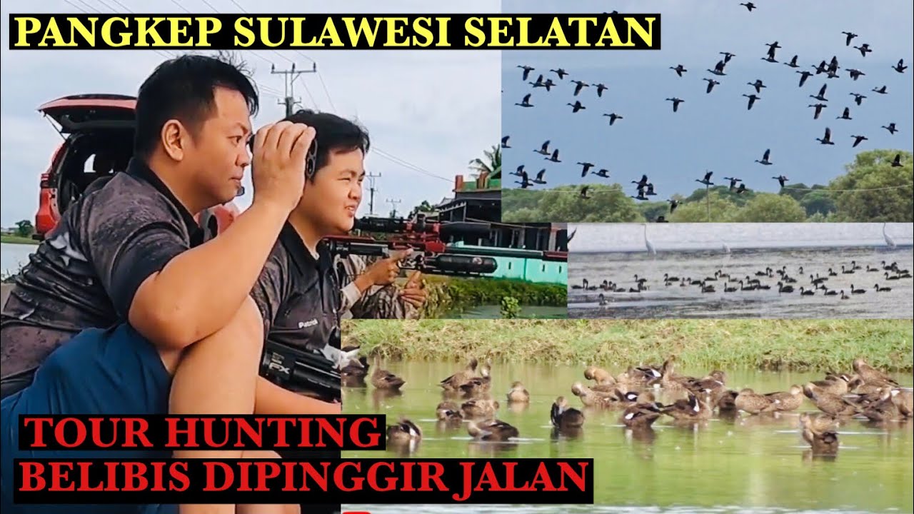 AMAZING&hellip;!!!!! PERTAMA KALI KETEMU BELIBIS RATUSAN EKOR DI PINGGIR JALAN