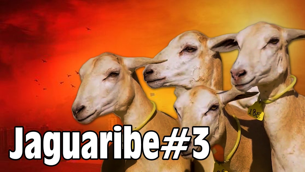 03 - CRIAÇÃO - RAÇA OVINA JAGUARIBE