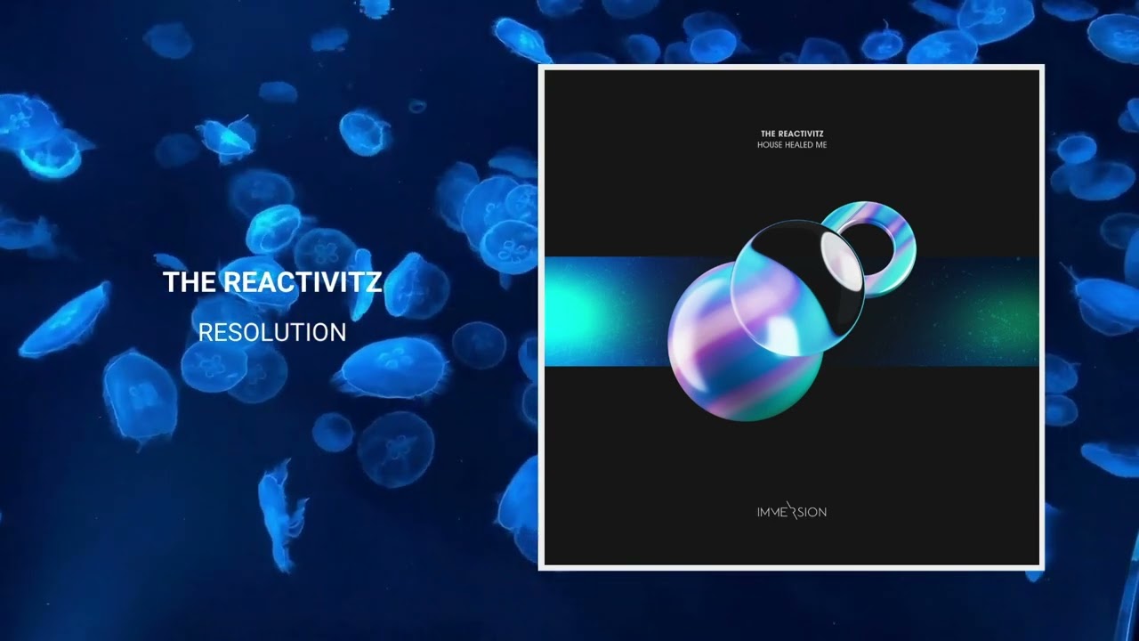 The Reactivitz - Resolution [Immersion]