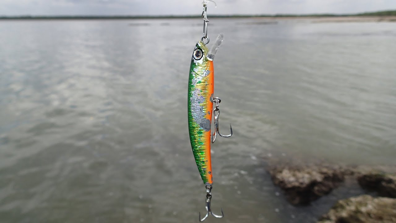 [Vol. 83] November! This is how I spend my Sunday in Darwin. Rockcod, Trevally, Barramundi.