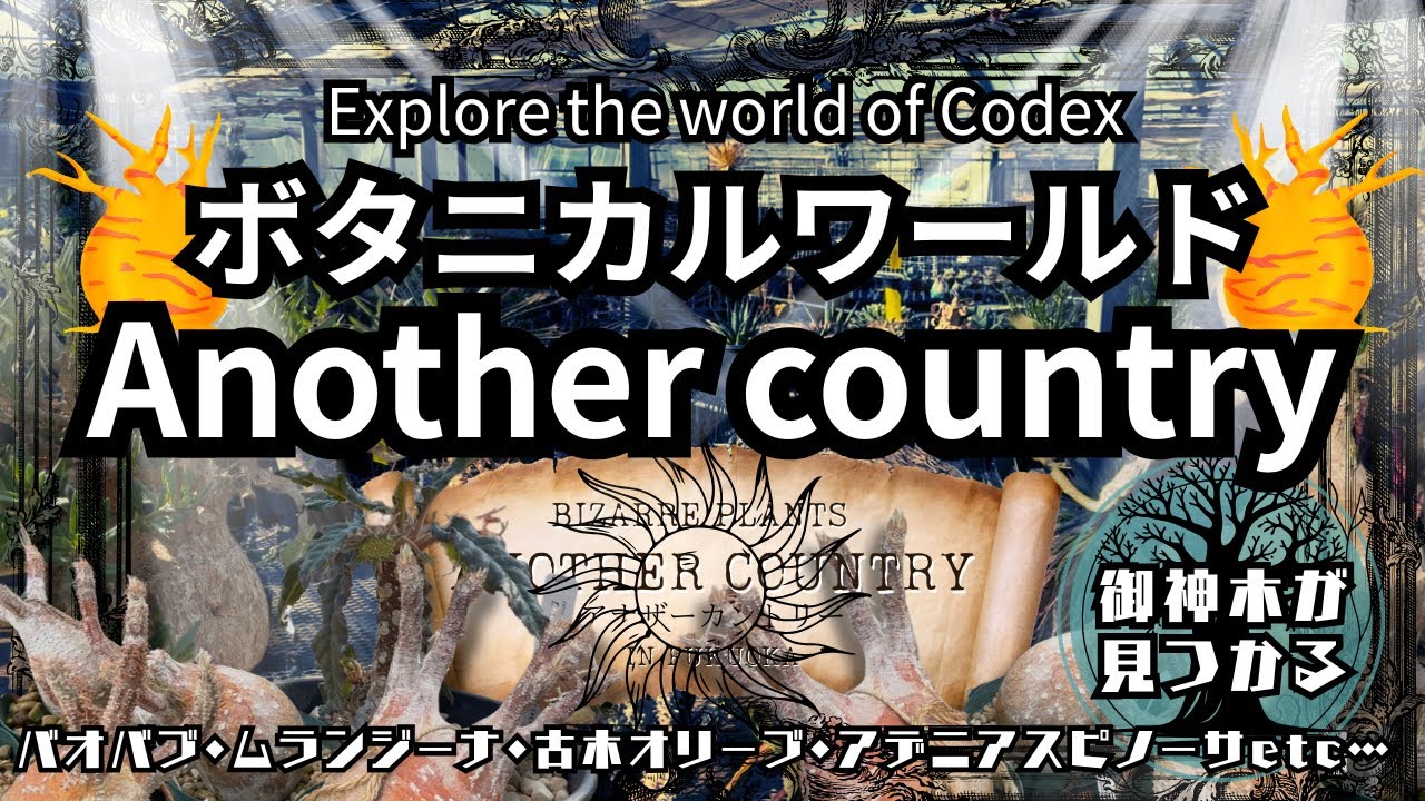 vol.15【巨大ビザールプランツの楽園】噂のショップは宝物の宝庫でした！