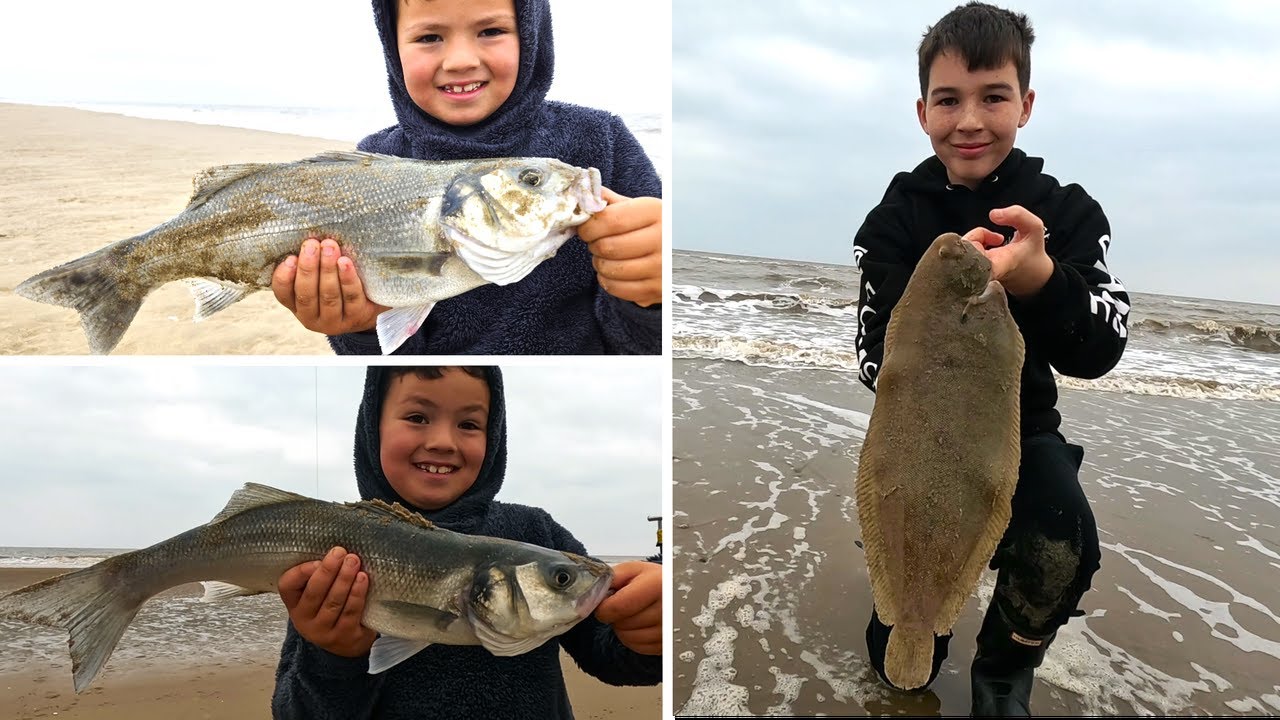 BASS AND HUGE DOVER SOLE IN NORTH WALES | WE HAVE A NEW BASS MASTER! 😁 w/  @Oliversfishingadventures